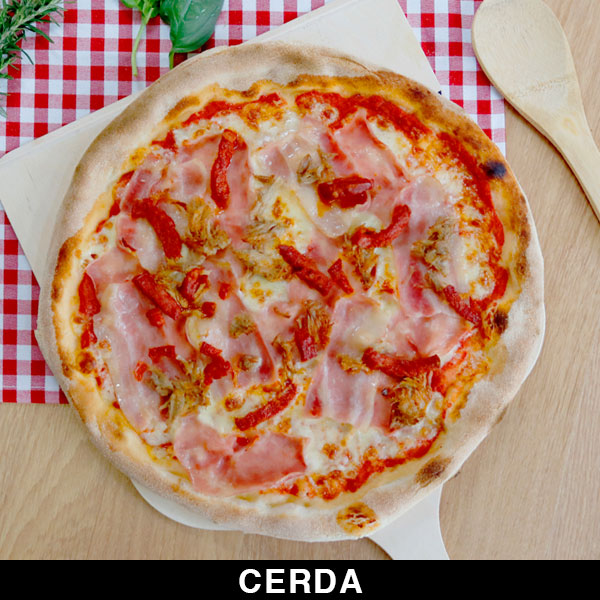 CERDA