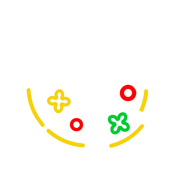 Tu veggie al gusto